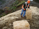Rotating WoodStraw® images