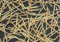 50% cover WoodStraw&reg; ECM